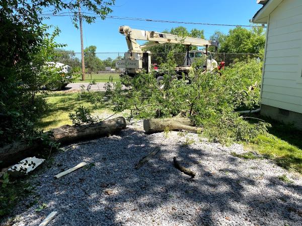 Moore & Smith Tree Care LLC