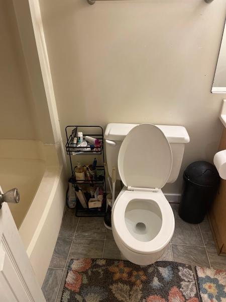 Neat and Clean va