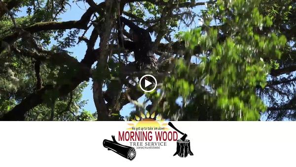 Morning Wood Tree Service
