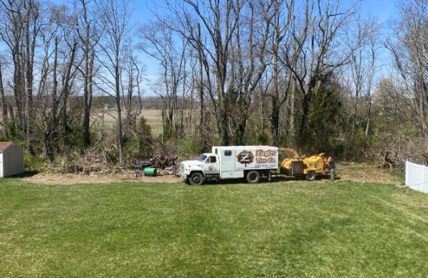 Ziegler Tree Company