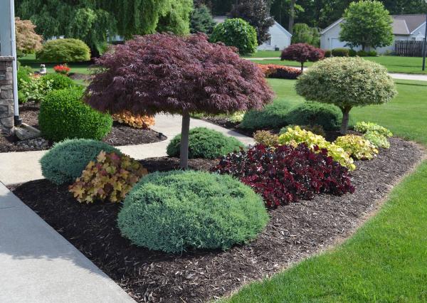 Total Care Lawn Services