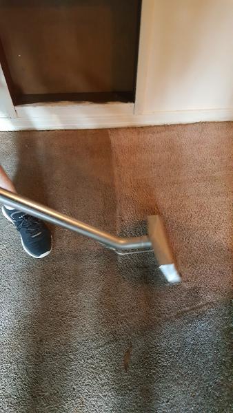 Carpet Cleaning Nurse's Touch