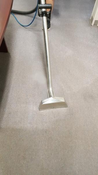 Carpet Cleaning Nurse's Touch