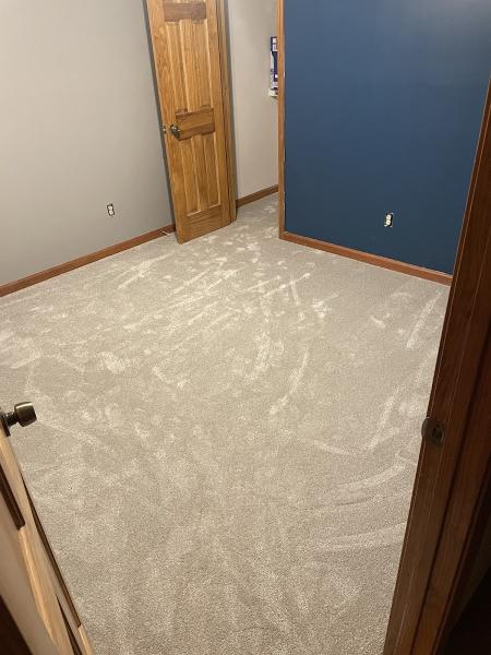 Revive Carpet Cleaning and Repair