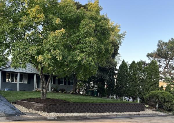 Better Yards and Gardens Inc