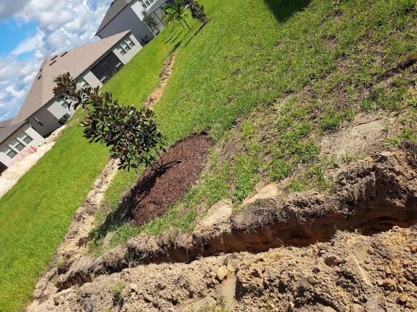 A1 Sprinkler Services & Landscape Lighting