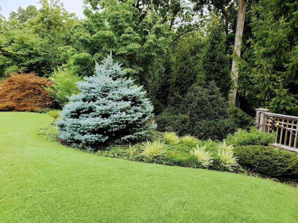 Pj's Landscape & Design