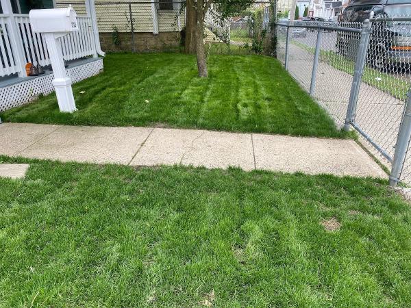 Pj's Landscape & Design