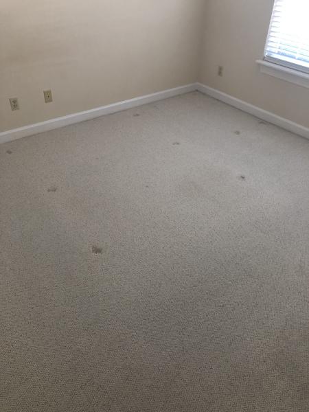 Rodriguez Cleaning Services