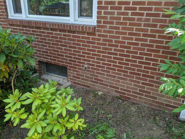 Poison Ivy Patrol Specialty Landscaping