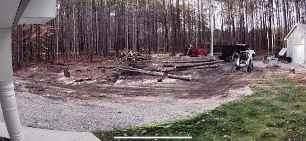 Affordable Tree Service & Firewood