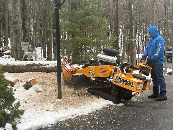 Breckinridge Tree Service