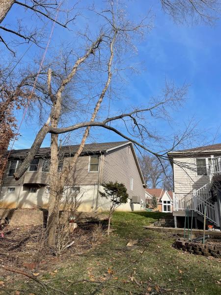 River City Tree Service