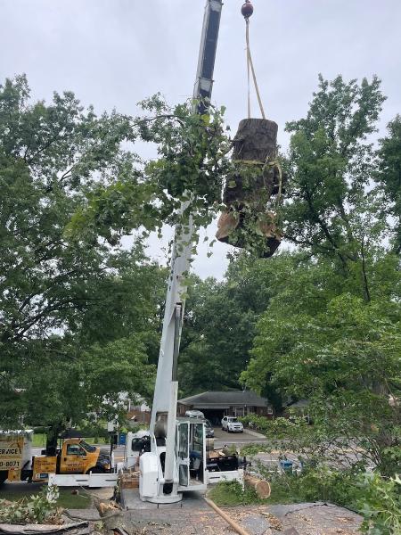 River City Tree Service