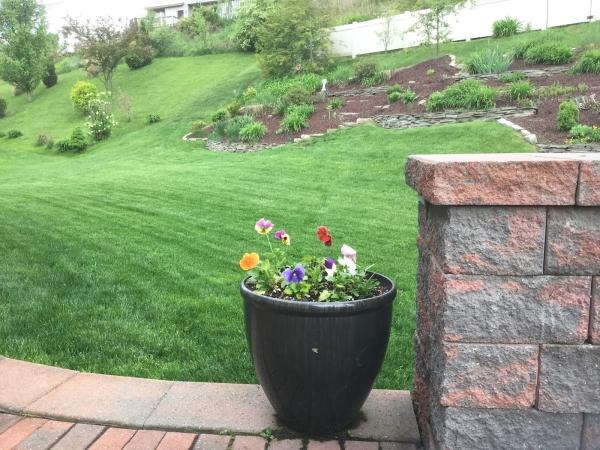 Lawn Sense