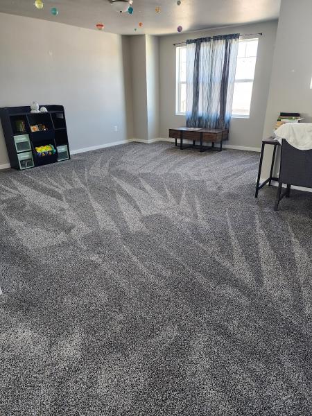 Koala T Carpet Cleaning