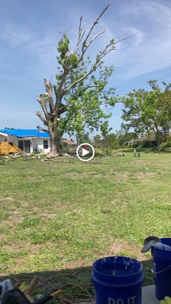 Florida Tree & Ground Maintenance Inc.
