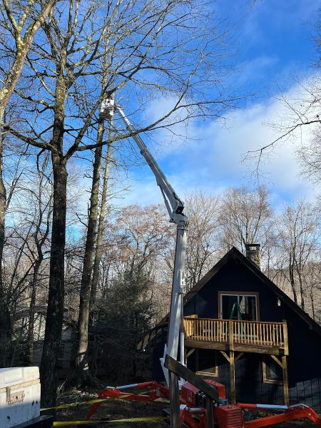 Florida Tree & Ground Maintenance Inc.