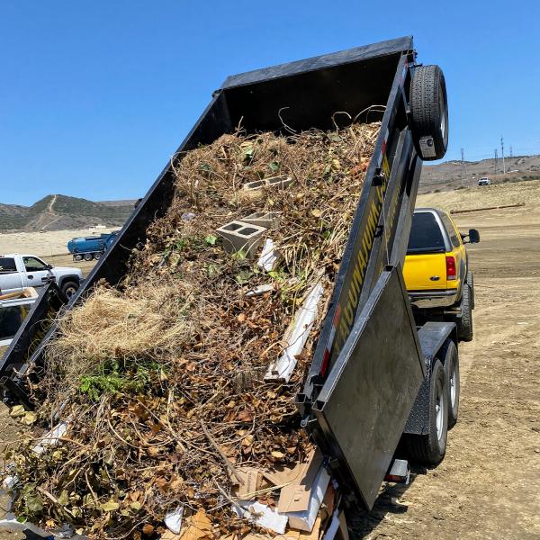 Laguna Junk