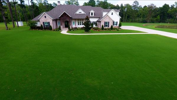 A Healthy Lawn