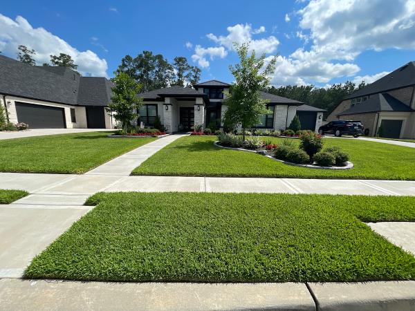 A Healthy Lawn