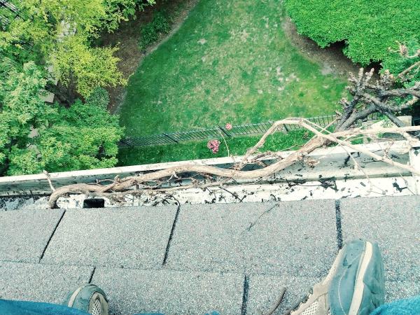 Chicago M.r.s. Gutter and Window Cleaning