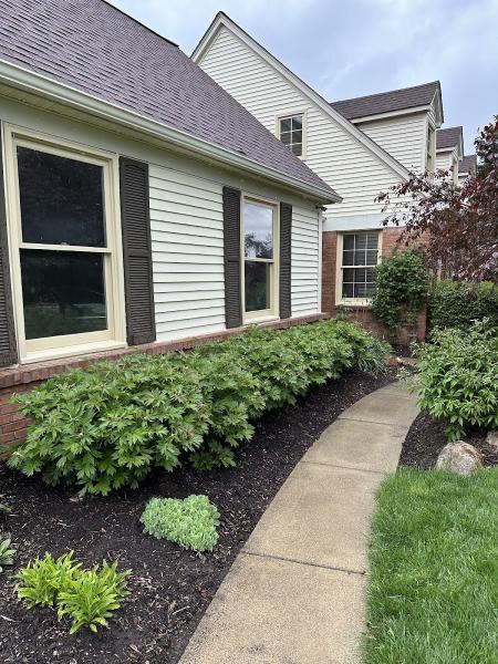 Waterfall Exterior Cleaning LLC