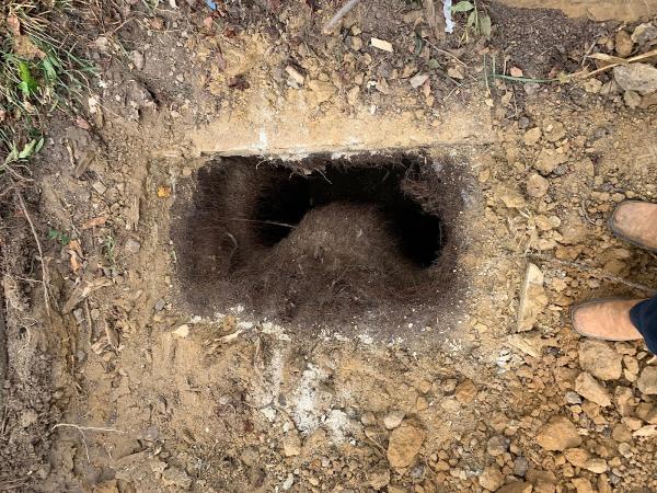 Express Plumbing & Septic