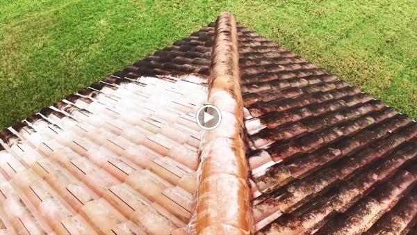Suncoast Roof Cleaning