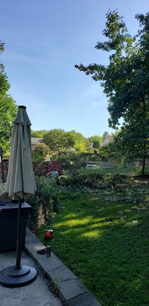 Precision Tree Service Centreville