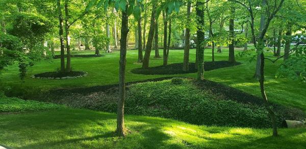 Tender Lawn Care