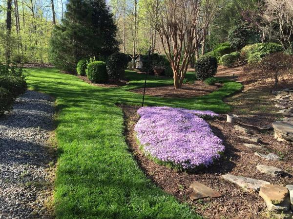 Tender Lawn Care