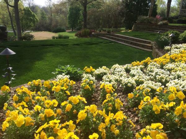 Tender Lawn Care