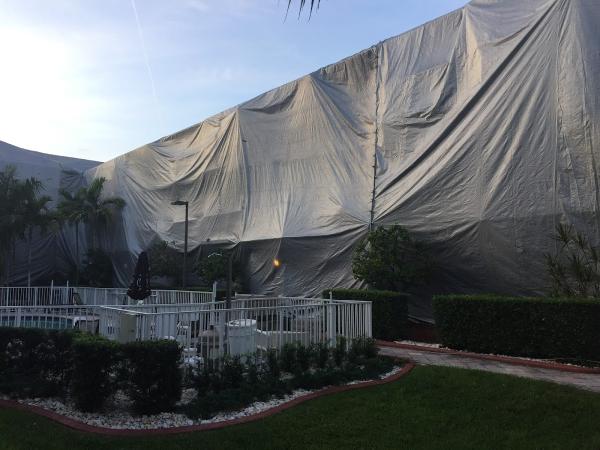 Termite Professionals LLC