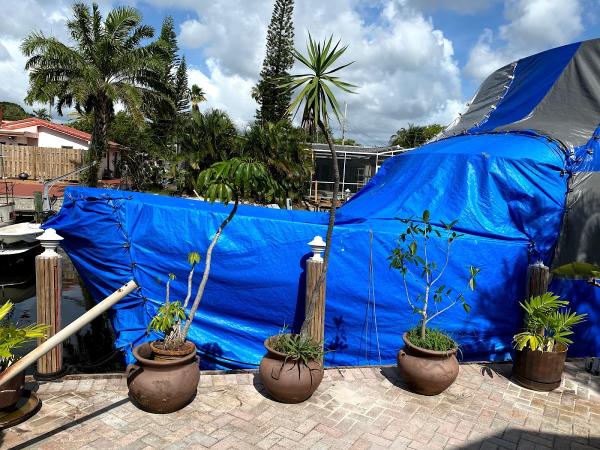 Termite Professionals LLC
