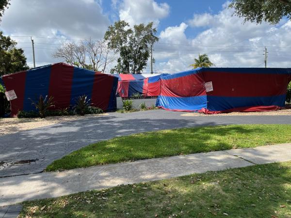 Termite Professionals LLC