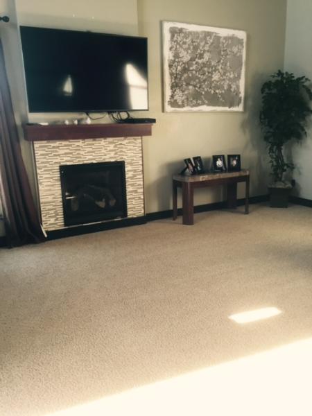 New View Carpet Cleaning