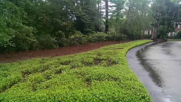 Scott's Lawn Care Service
