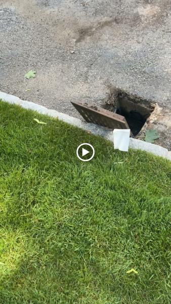 Clear Drains LLC