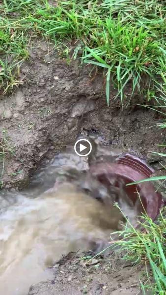 All Drains Drain Cleaning and Plumbing Repair