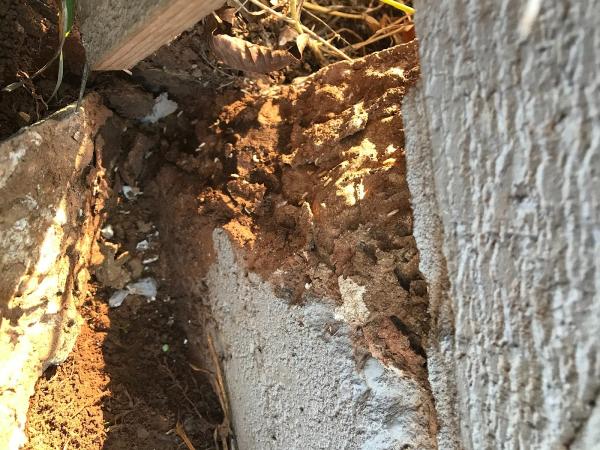 McDermott Pest Services