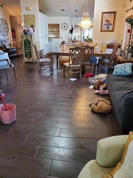 Anna´s Cleaning Services