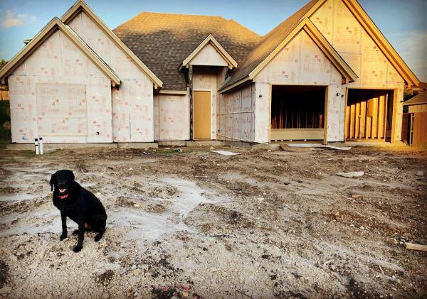 Canvass Home Inspections