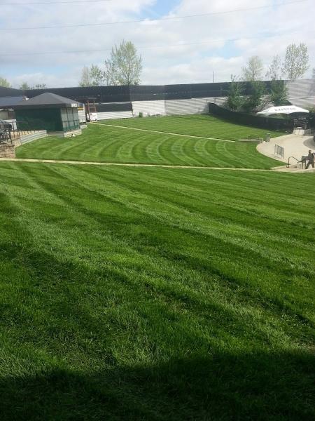 A & M Landscaping & Lawncare
