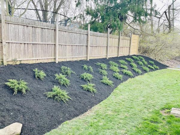 A & M Landscaping & Lawncare