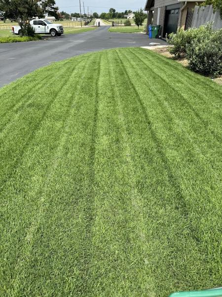 Green Envy Lawns