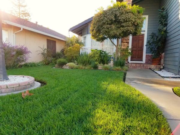 Ortiz Lawn Care