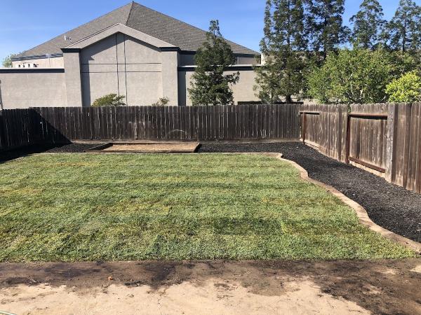 Ortiz Lawn Care