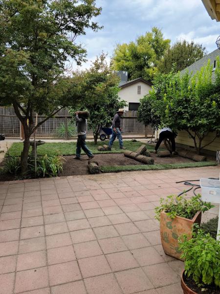 Ortiz Lawn Care