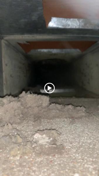 Roberts Ducts